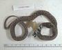 Liophis poecilogyrus caesius