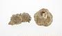 Loess concretion