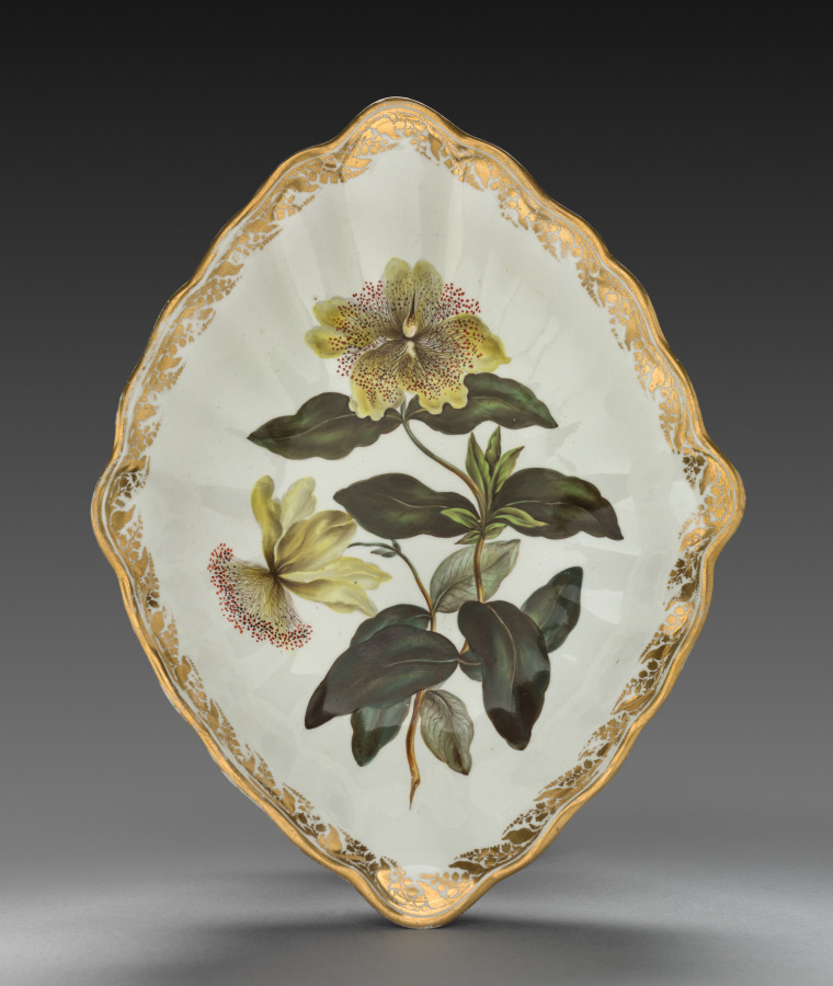 Lozenge Shaped Dish from Dessert Service: Large Flowered St. John's Wort