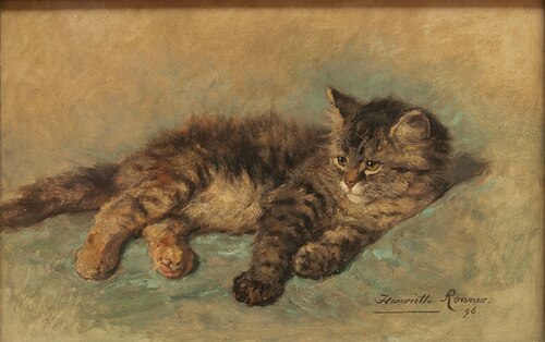 Lying kitten