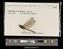 Macrothemis celeno