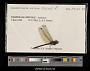 Macrothemis celeno