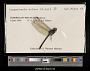 Macrothemis celeno