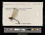Macrothemis celeno