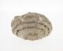 Magnesian limestone