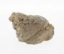 Magnesian limestone