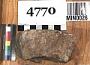 Magnetite (?)