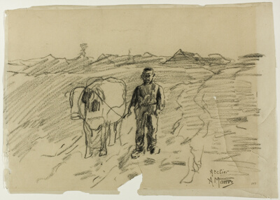 Man Leading Cow