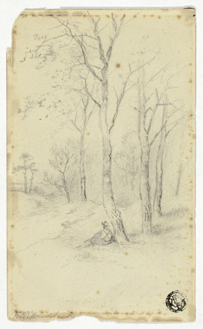 Man Sitting Under Trees