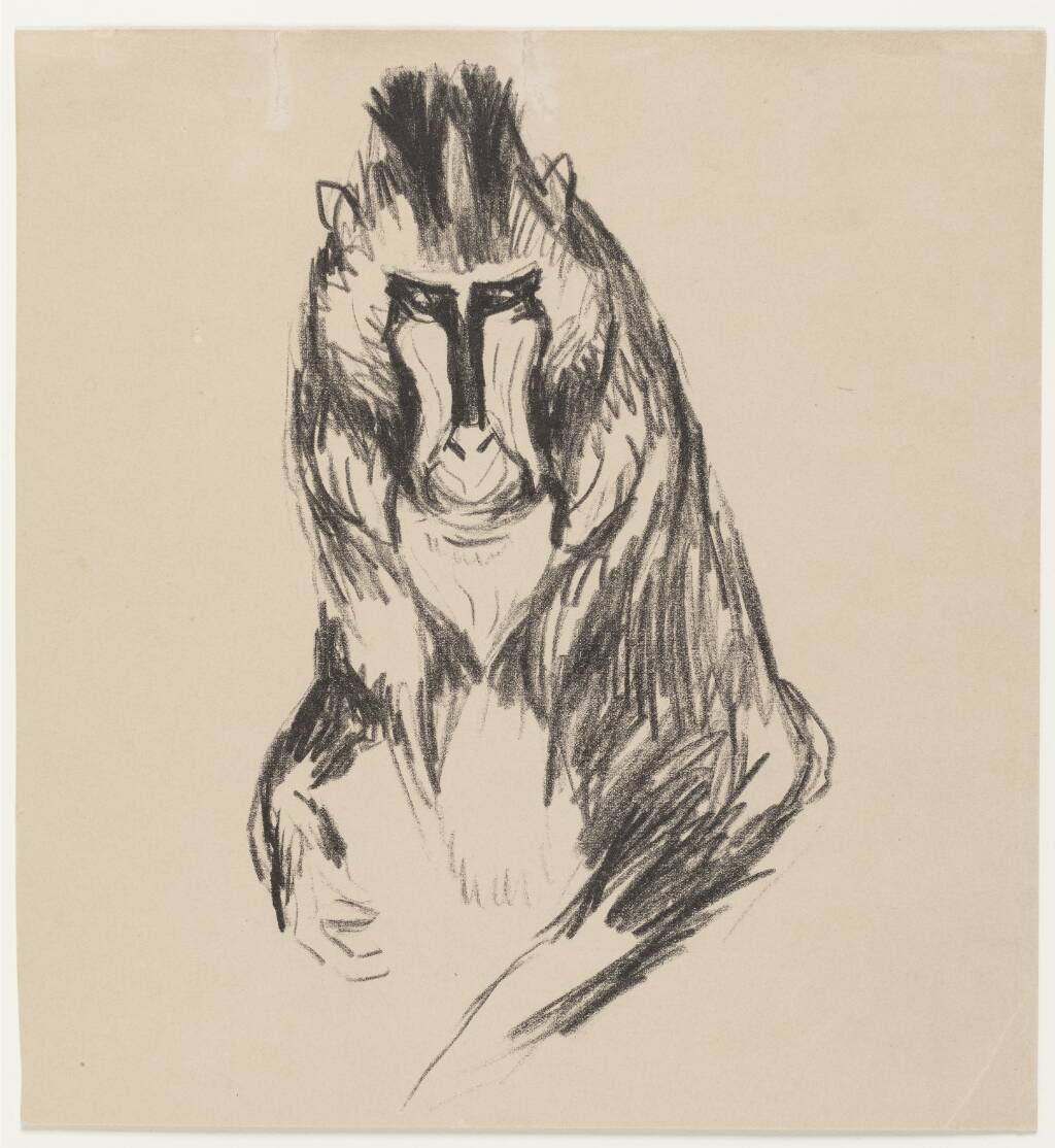 Mandril