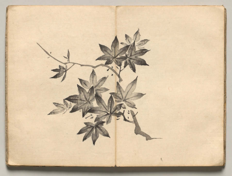 Maple from Ōkyo Picture Book