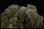 Marcasite