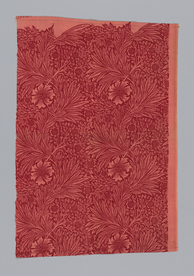 Marigold
