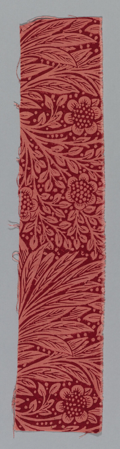 Marigold