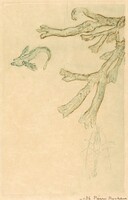 Marine Algae (Algues marines)