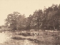 Marsh at Piat (Belle-Croix Plateau)