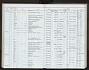 Mephitis mephitis nigra