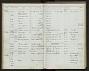 Microsciurus flaviventer napi