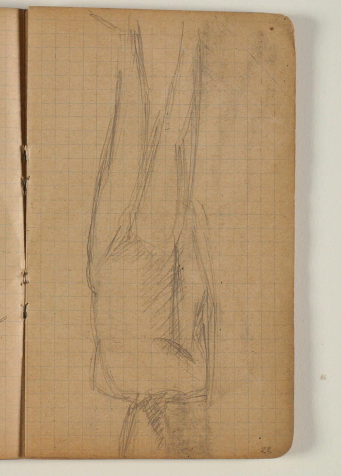 Modelstudie