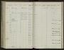 Molossops temminckii