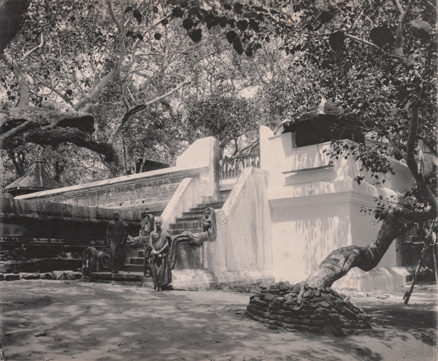 Monks Outside Temple, Ceylon