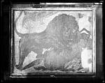 Mosaic Lion