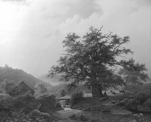 Mountainous Landscape