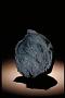 Murchison