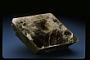 Muscovite