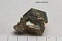 Muscovite