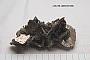 Muscovite