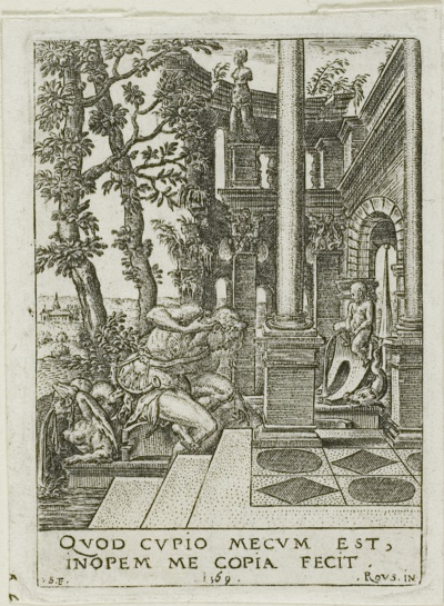 Narcissus
