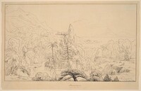 Narcissus [recto]