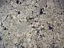 Nashville (stone)