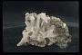 Natrolite