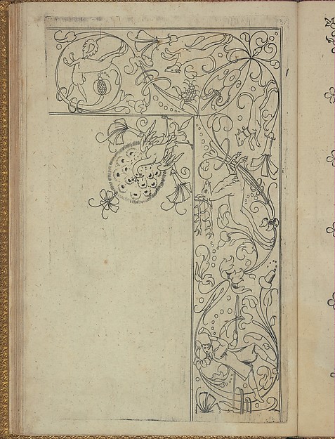 New Modelbüch (Page 49r)