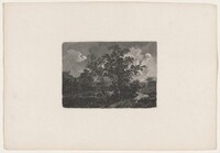 Nocturnal Landscape