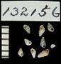 Odostomia lukisii