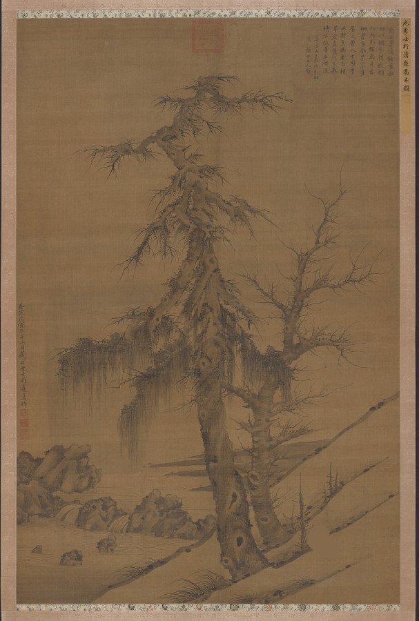 Old Trees by a Cool Spring