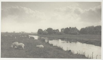 On the River Bure