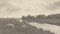On the River Bure