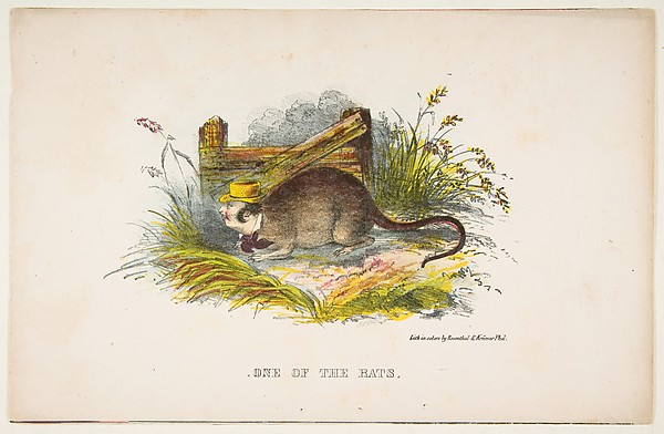 One of the Rats, from "The Comic Natural History of the Human Race"