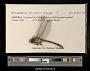 Ophiogomphus arizonicus