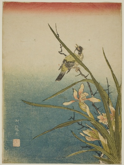 Orchid and Bird