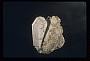 Orthoclase
