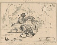Ouverture de la chasse