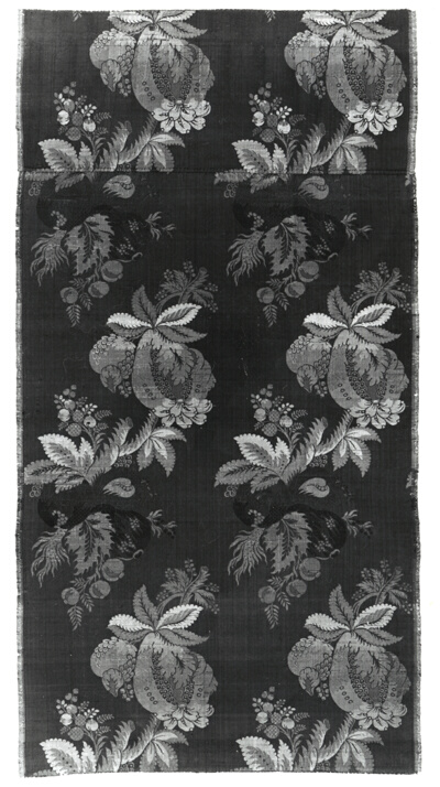 Panel