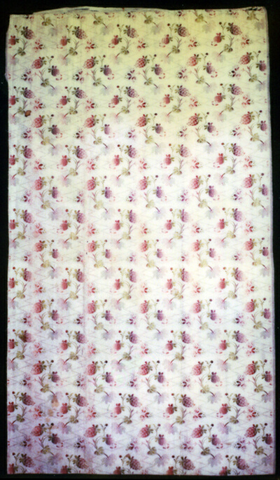 Panel