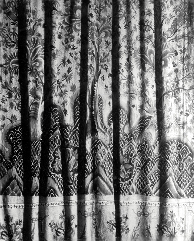 Panel