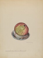 Paper Weight